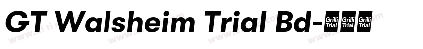 GT Walsheim Trial Bd字体转换
